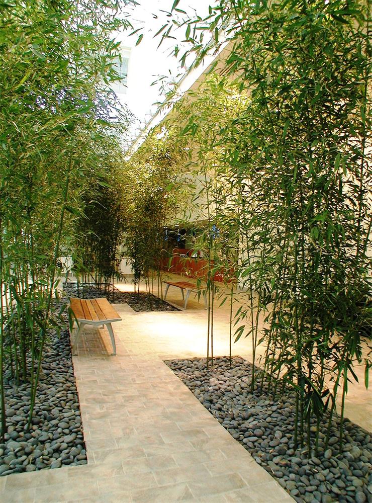 Indoor Bamboo Garden